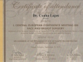 certificate_2010_2012_01