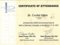 certificate_2010_2012_04